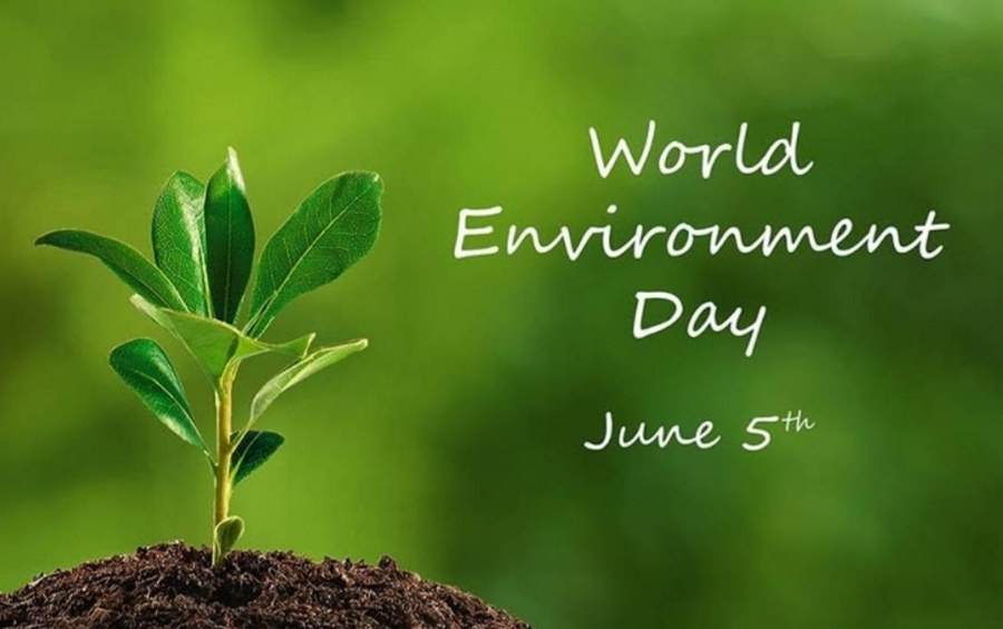Día Mundial del Medioambiente