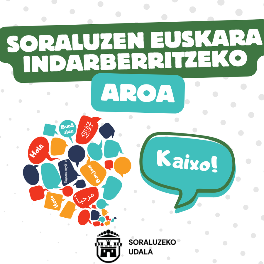 En las próximas semanas se realizarán sesiones participativas para completar el plan de revitalización del euskera