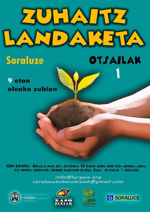 Zuhaitz landaketa